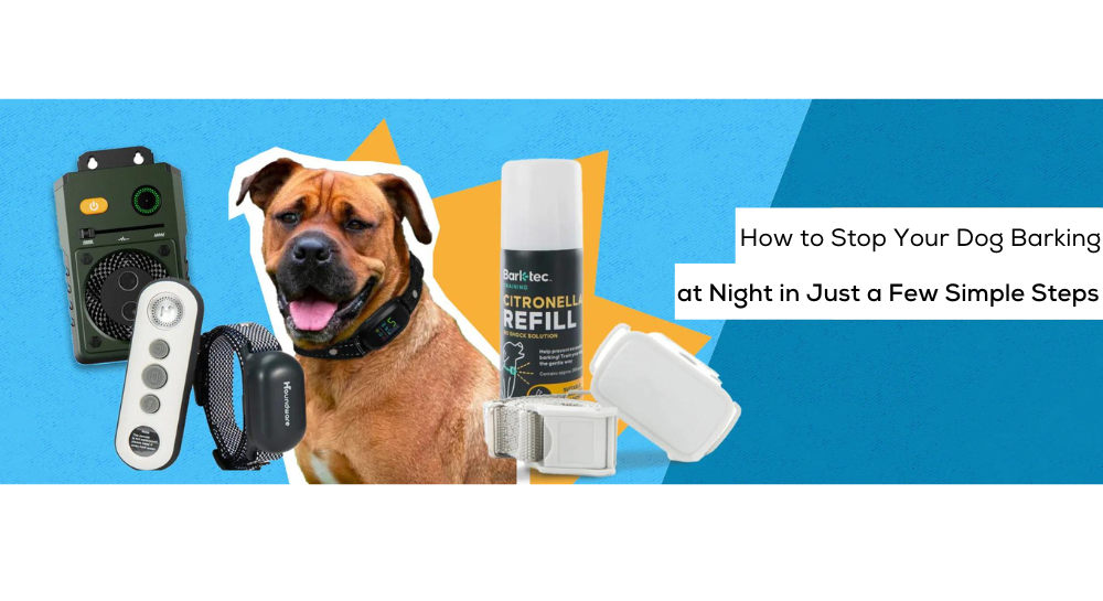 Most powerful dog barking deterrent fashion