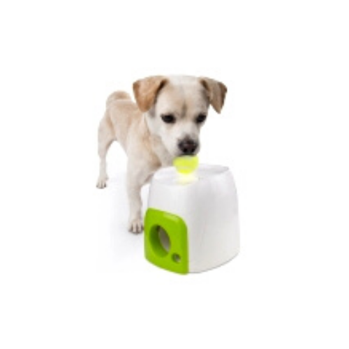 Interactive Dog Toys Buy Interactive Dog Toys Online eDog