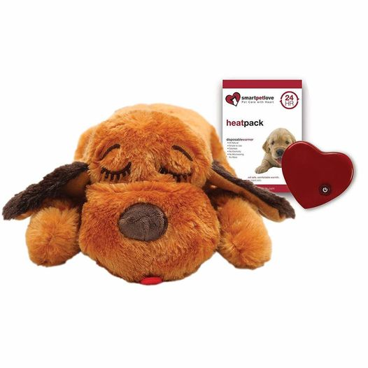 Snuggle puppy best sale for older dog