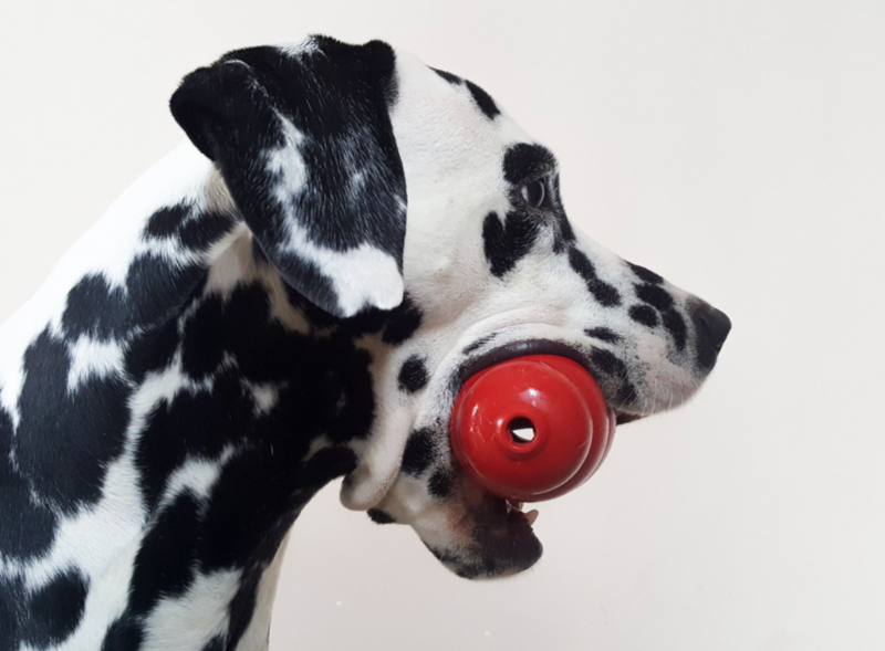 Get Stuffed! Over 50 Ways to Fill Your Kong