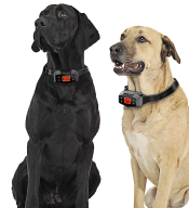 Anti-Bark, eFence & Training Collars for 2 Dogs