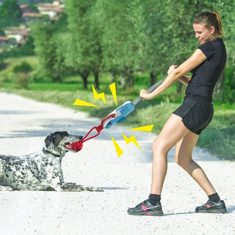 a woman playing tug of war toy with her dog