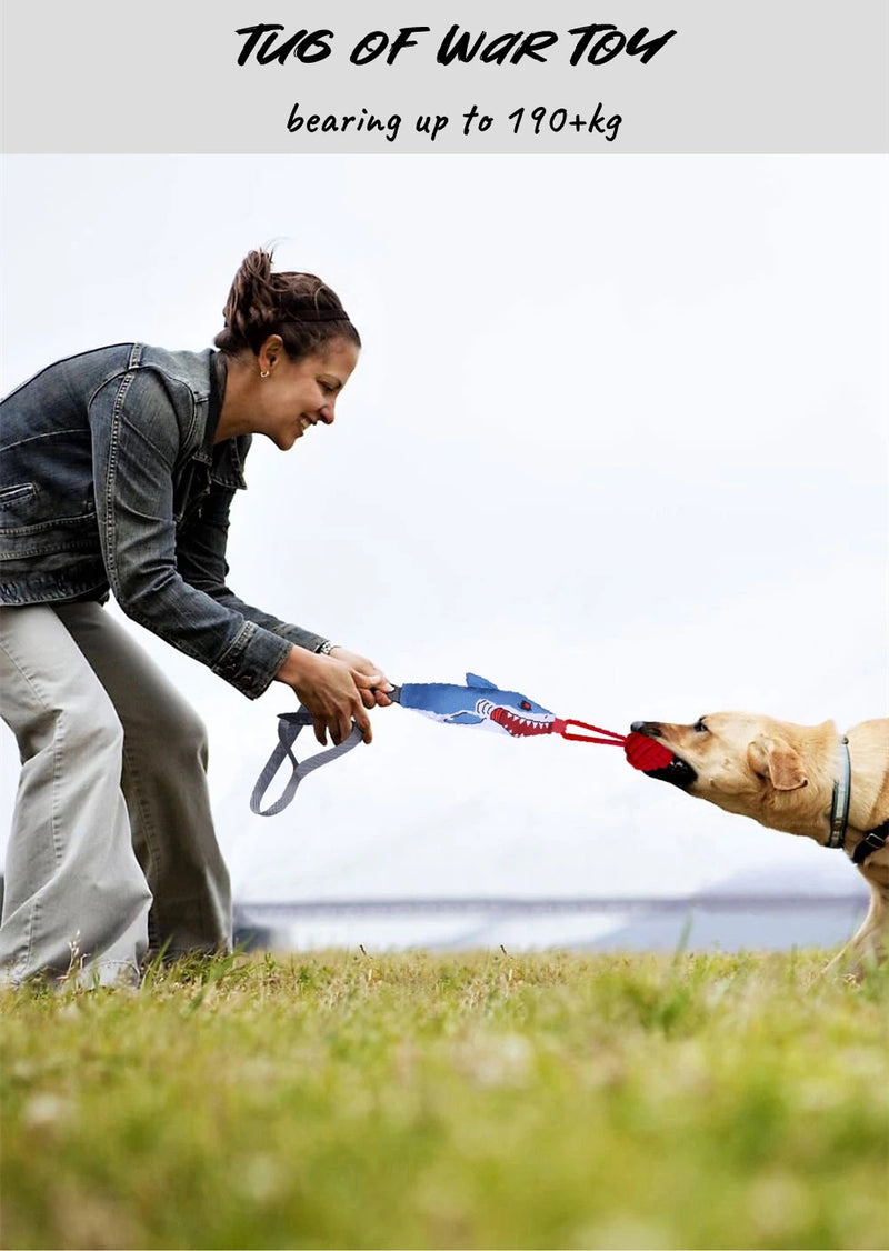 woman playing tug of war toy with her dog