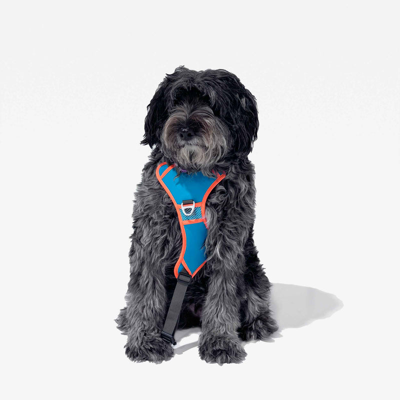 No-Pull Dog Harness and Leash Set