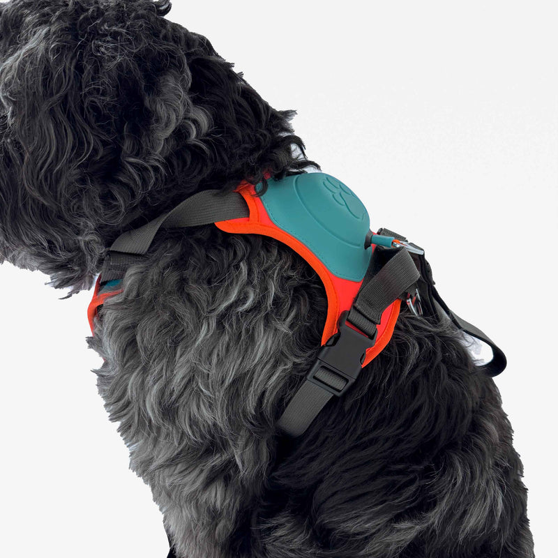 No-Pull Dog Harness and Leash Set