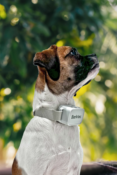 AETERTEK AT 918C Dog Remote Training Collar with Auto Bark