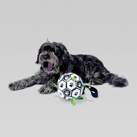 Interactive Dog Soccer Ball With Tabs - Large