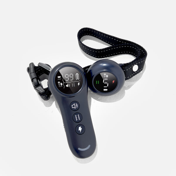 Auto bark collar with remote best sale