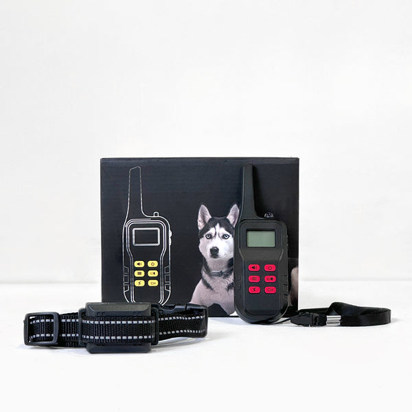 Barktec 2 in 1 Anti Bark and Remote Training Collar eDog Australia