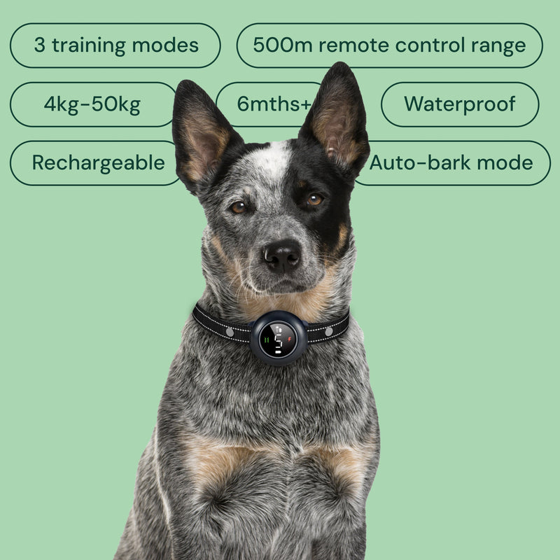 Houndware 2-in-1 Pro Anti-Bark & Remote Training Collar - Upgrade