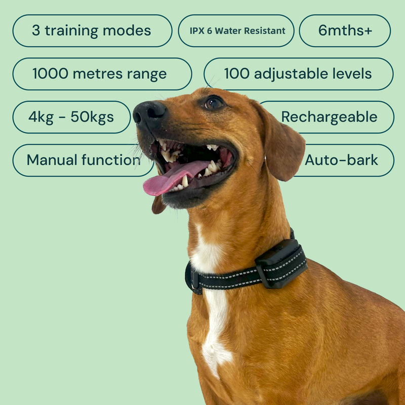 Automatic bark collar with remote best sale