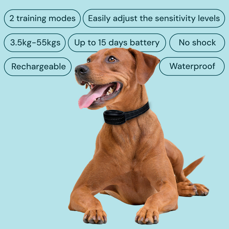 Barktec No-Shock Anti-Bark Collar with Dual Vibration