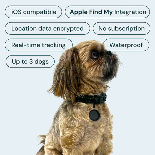 Key Features of  the Escape Artist Bundle for dog safety. Water resistant, iOS Compatible with Apple Find My Integration, Real time tracking for up to 3 dogs. 