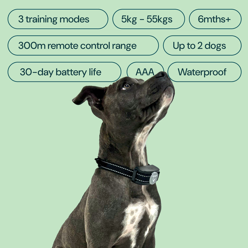 Houndware HW101 Remote Dog Training Collar