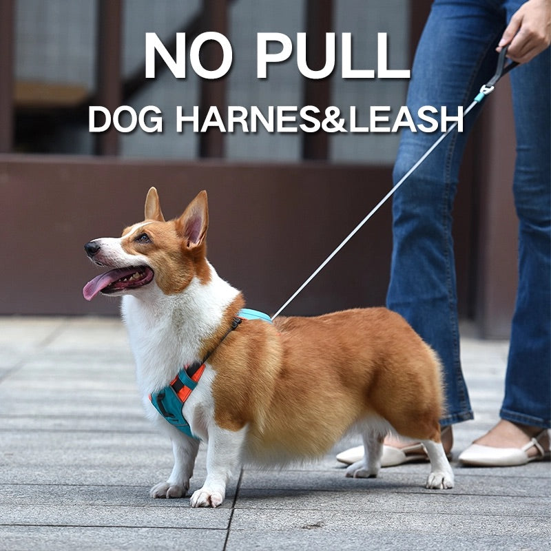 2-in-1 No Pull Harness and Leash with a padded handle - Offers a comfortable grip for dog owners during walks