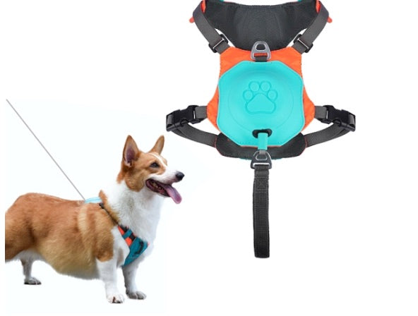 Dog owner adjusting the 2-in-1 No Pull Harness on their dog - Ensures a perfect fit for maximum comfort and control.