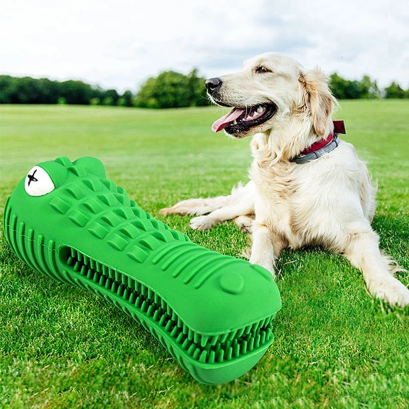 Dog chewing on the Crocodile Dog Chew Toy outside  