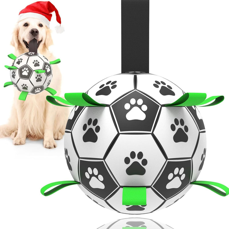  Dog playing large soccer ball with tabs  