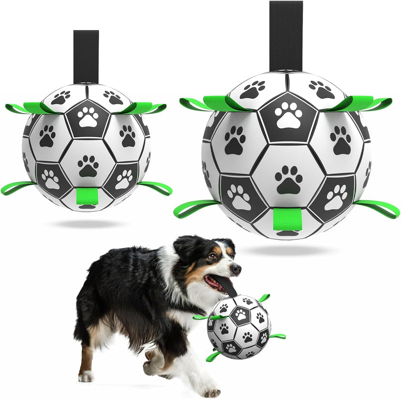 dog playing with large dog soccer ball with tabs