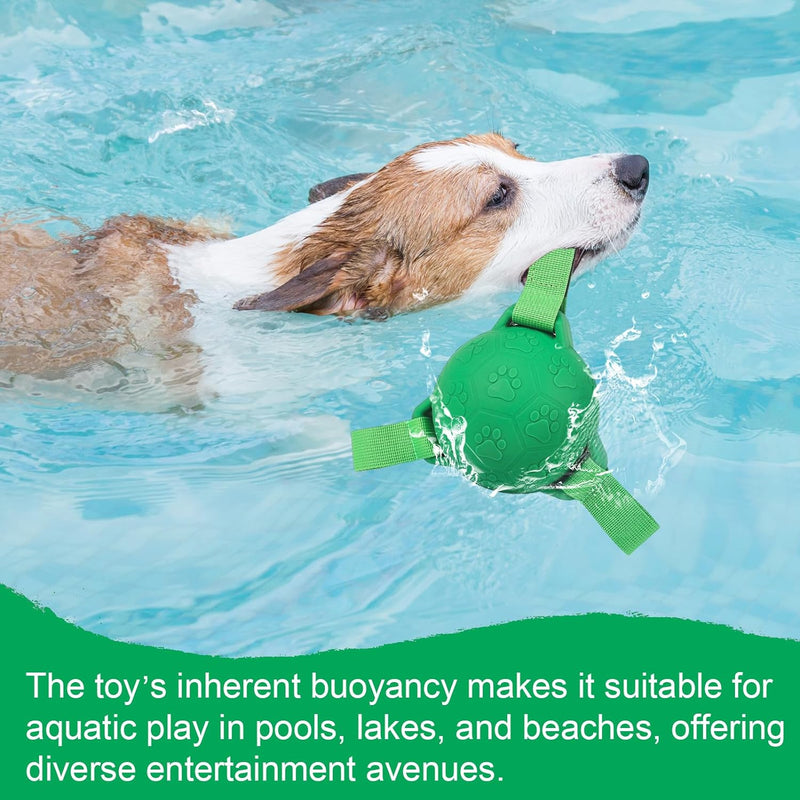 dog playing rubber toy in pools