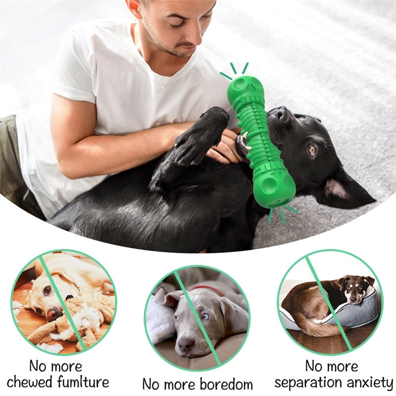 benefits of dog squeaky toy