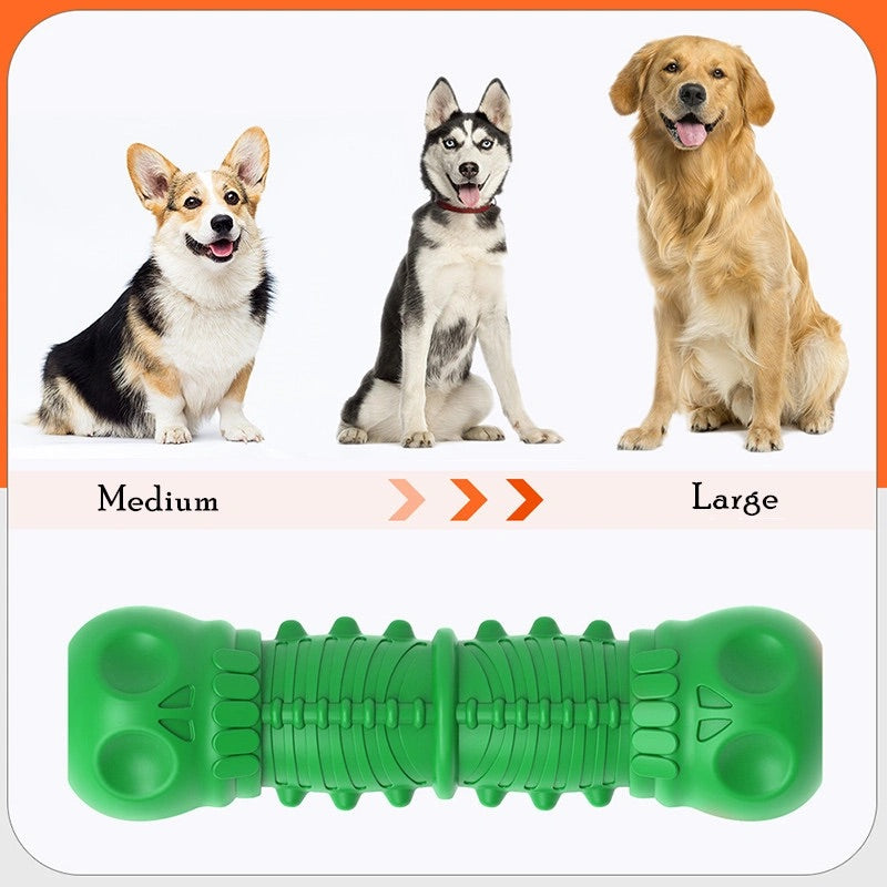 dog squeaky toy for medium to large dogs