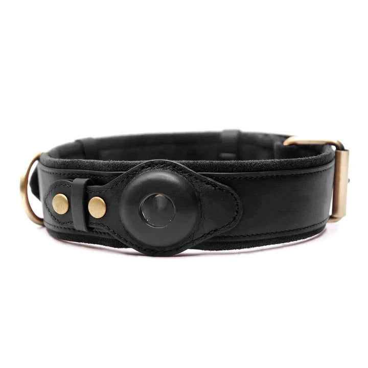 Premium Leather Dog Collar