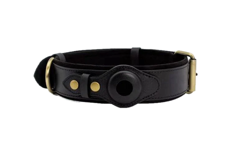 premium dog tracker collar