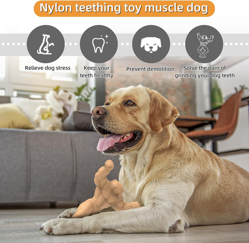 benefits of chewing toy muscle dog