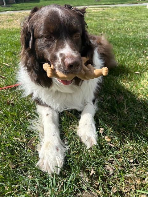 Dog biting muscle ultra-durable chew toy