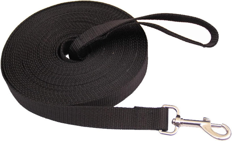 black dog leash