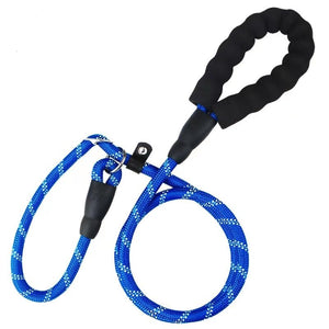 Blue slip lead dog training leash with black handle, featuring no-pull design and durable materials for safe, enjoyable walks