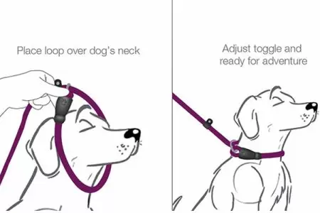 instruction on how to use dog leash