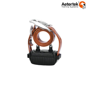 Aetertek AT-168F Dog Fence - Additional Collar