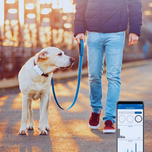 4G GPS Dog Tracker