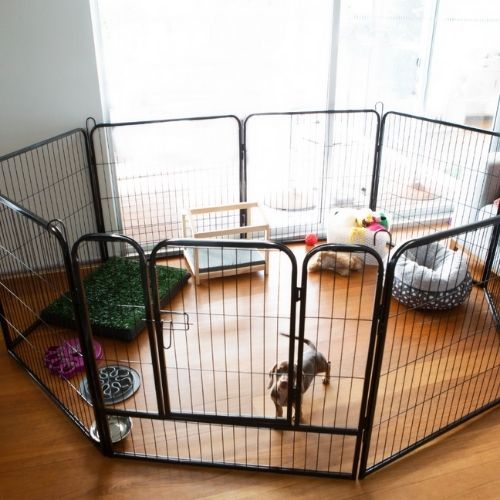 Dog Playpen Galvanised Steel 8 Panels 80cm x 100cm